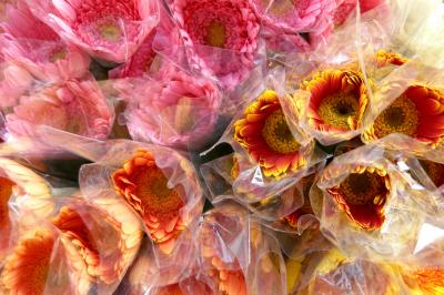 Flower Market 4