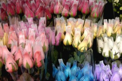 Flower Market 7