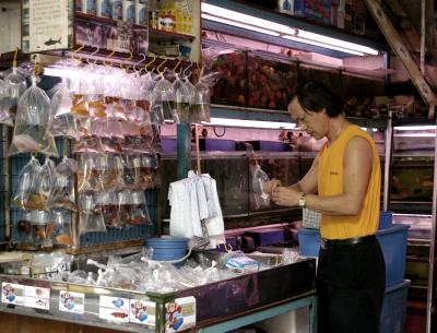Aquarium Owner