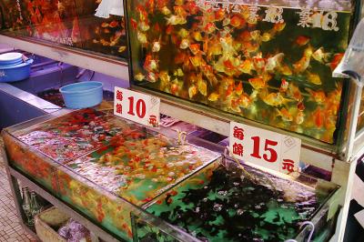 Cheap Goldfish