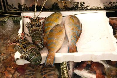 Fresh Seafood