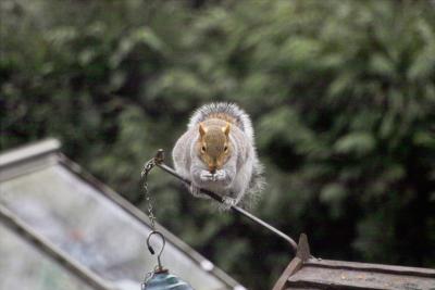 IMG02029.jpg
