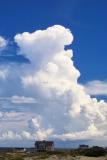 OBX THUNDERHEAD