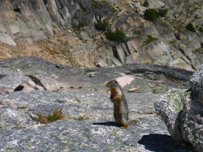 I went off for some solo climbing/hiking and Mark went down to eat our food