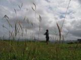 Suva Kiting