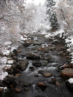 First snow - Salt Lake City, November 2003