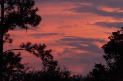 sunset1.jpg
