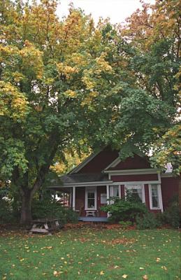 parkdale_housetrees.jpg