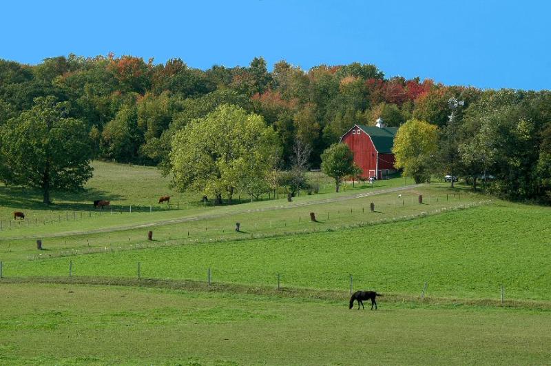 Minnesota Farm