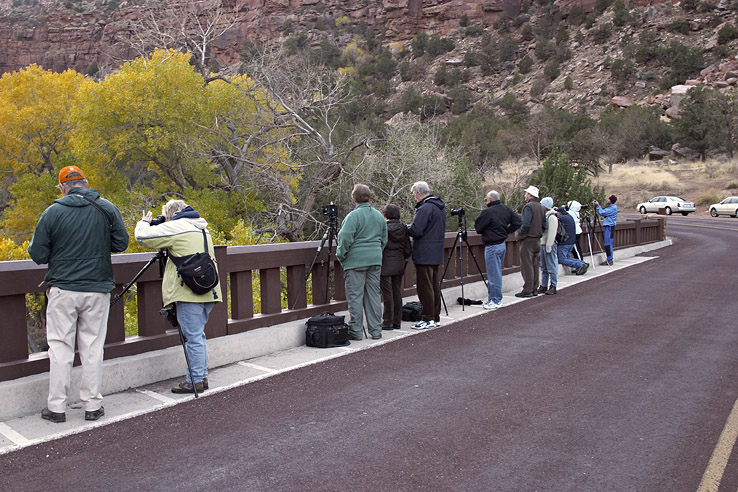 zion bridge1.jpg