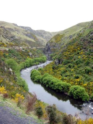 Scenery along Taieri Gorge