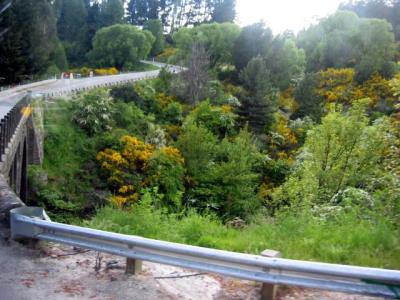 winding road leading to the Shotover River and Shotover Canyon