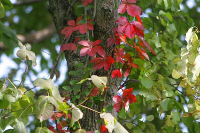 IMG_8217.jpg