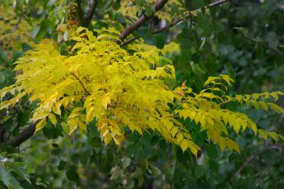 IMG_8248.jpg