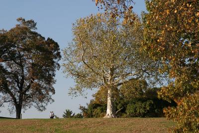 IMG_9975.jpg