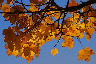 IMG_9995.jpg
