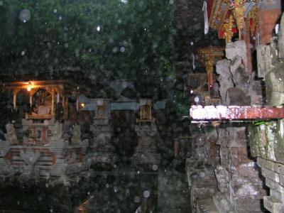 P1010026.jpg