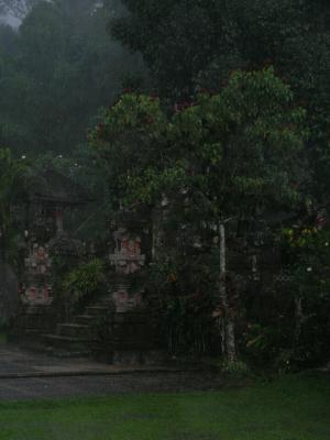 P1010029.jpg