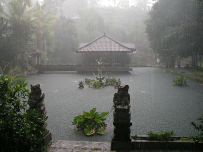 P1010031.jpg
