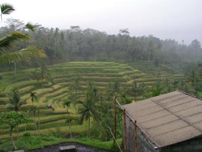 P1010035.jpg