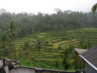 P1010037.jpg