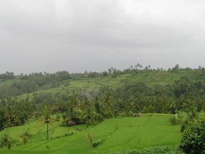 P1010031.jpg