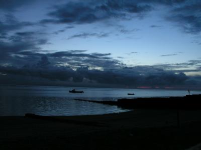 P1010003.jpg