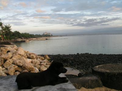 P1010021.jpg