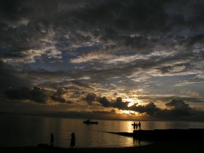 P1010026.jpg