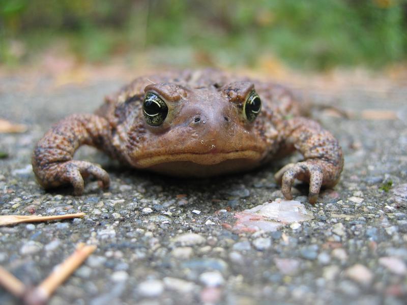 Heres Lookin at Ya