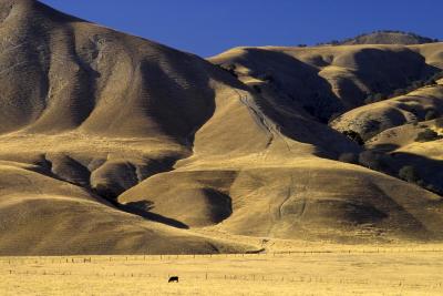 california_farm_country