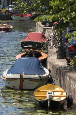 DSC_0190.jpg