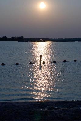 DSC_0427.jpg