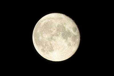 DSC_0401 (crop).jpg