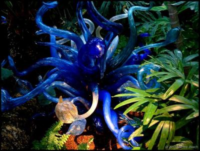 Chihuly exhibit