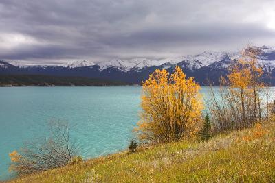 Lake Abraham, Nordegg, Alberta (_P9E3211.jpg)