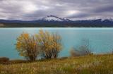 Lake Abraham (_P9E3214.jpg)