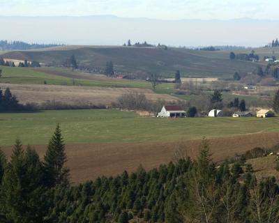 CRW_6906.jpg