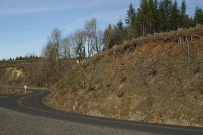 CRW_6914.jpg