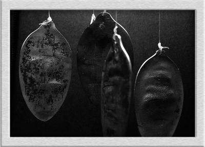 Spoons (Feb 7th)