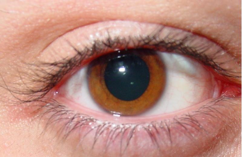 An Eye For Detail By LIGuy