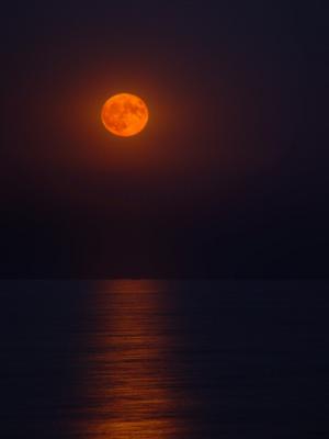 Harvest Moonby Lynn Towns