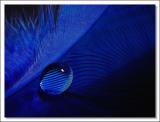 <p a;ign=center><b>4th <br>A Drop More Detail</b><br><font size=1>by MFC</font>