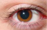 An Eye For Detail By LIGuy