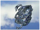 tenth place, tie<br><br>Swanlake *<br>by Hewy