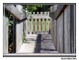 <b>Across to Playground</b><br> * by David Clifford