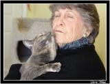 * Love me tender...