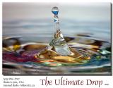 <b>6th Place</b><br>The Ultimate Drop ...