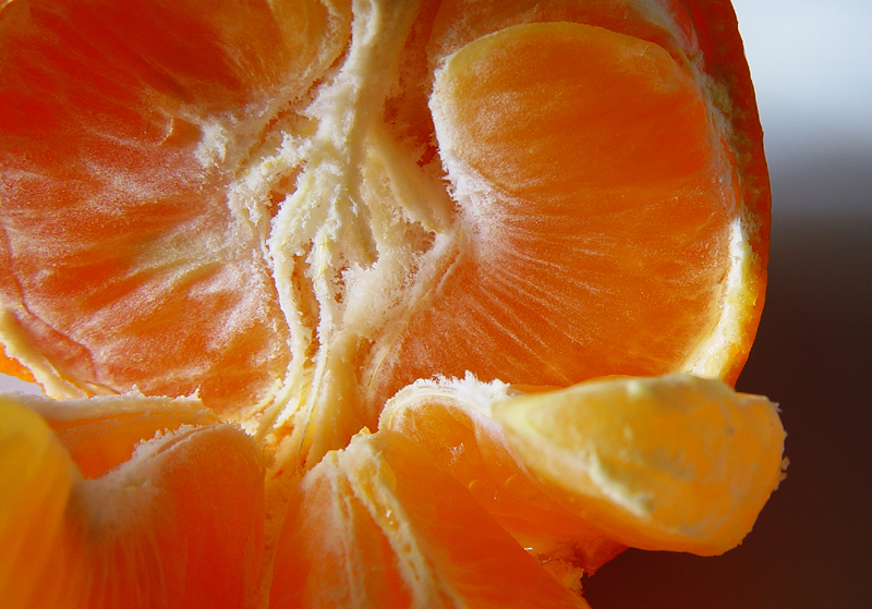 Oranged<BR>by SFishy