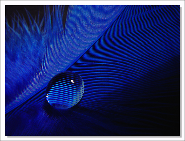 <p a;ign=center><b>4th <br>A Drop More Detail</b><br><font size=1>by MFC</font>